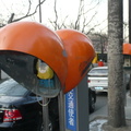 Beijing, China Payphone
