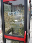 Derelict London Phone Box
