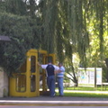 Black Forest Payphones