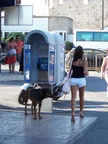 Rodos.