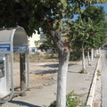 Kyparrissia, Greece
