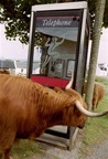 Scotland Phone Booth