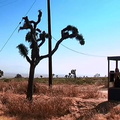 Mojave Phone Booth (2006)