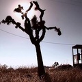 Mojave Phone Booth (2006)