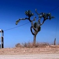 Mojave Phone Booth (2006)