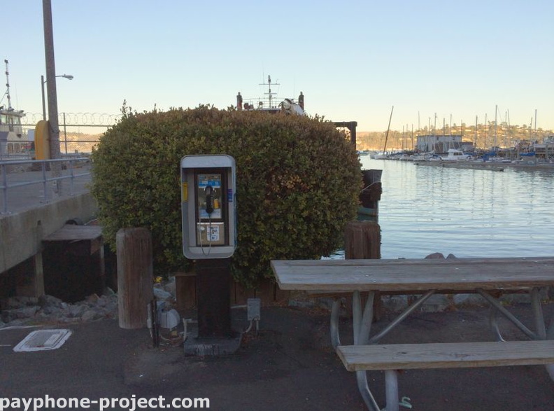 (415) 332-9741. Bay Model, U.S. Army Corps of Engineers, in Sausalito, CA.