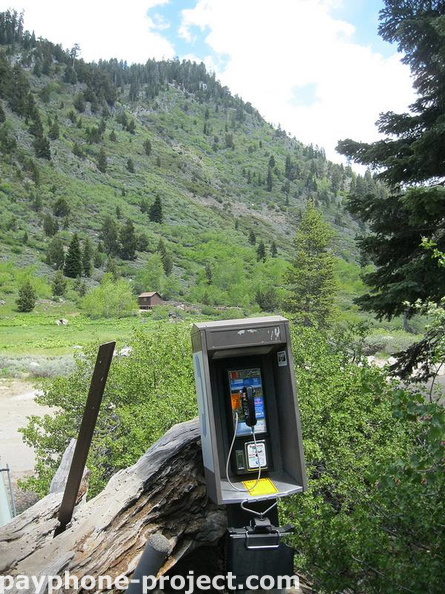 Mineral King Payphone