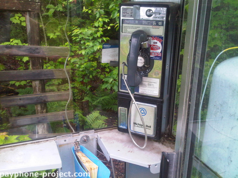 IMG00631_20100627_1133.jpg