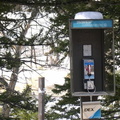 Yellowstone National Park Payphone