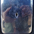 Reflection of myself