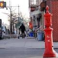 Greenpoint, Brooklyn