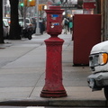 NYC Emergency Callbox