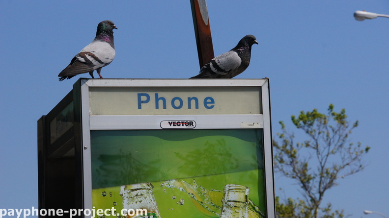 Vector Media Payphone. Queens Boulevard. May, 2012.