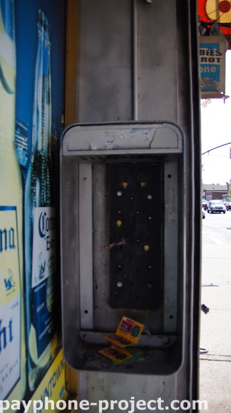 DSC08531.JPG