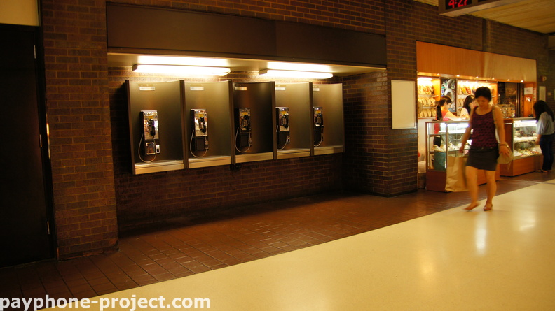 (212) 478-4687, (212) 478-5344, (212) 478-5392, (212) 478-4637, (212) 478-4591. Port Authority Payphones.
