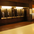 (212) 478-4687, (212) 478-5344, (212) 478-5392, (212) 478-4637, (212) 478-4591. Port Authority Payphones.
