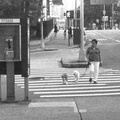 (212) 355-8102. 48th Street and 1st Avenue. United Nations area. (2488 visits) (212) 355-8102. 48th Street and 1st Avenue. United Nations area.