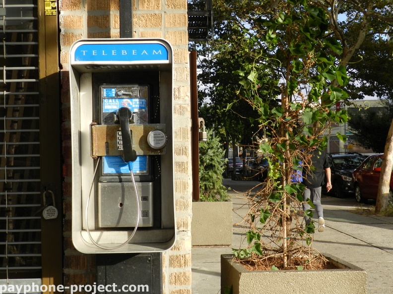 (718) 937-2770. 34th Street and 36th Avenue, Astoria. Telebeam Payphone outside Cava Wine &amp; Spirits.