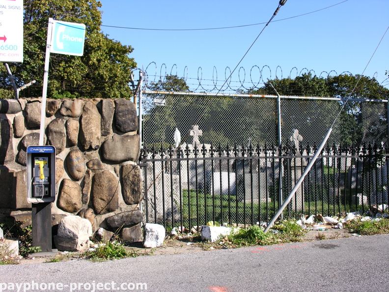 DSCN8979.jpg