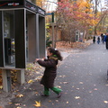 Bronx Zoo, November 2009. (718) 562-0246/0241 (2493 visits) Bronx Zoo, November 2009. (718) 562-0246/0241 Bronx Zoo, November 2009. (718) 562-0246/0241