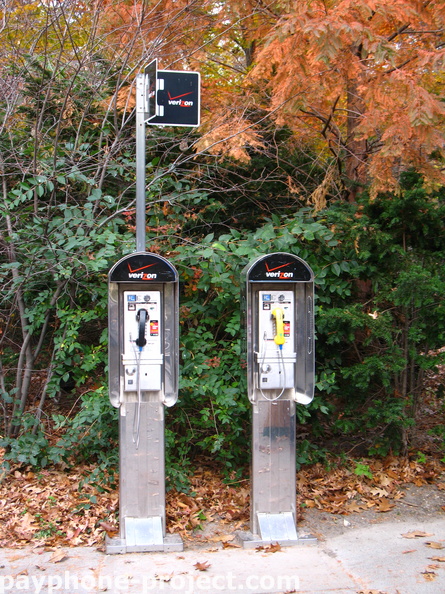 IMG_7316.jpg