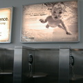 LaGuardia Airport Payphones, U.S. Airways Terminal