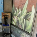 Arted up phone booth at 66th Street and West End Avenue. (3368 visits) Arted up phone booth at 66th Street and West End Avenue. In 2003 I was photographed inside this boot... Arted up phone booth at 66th Street and West End Avenue.