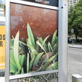 The artwork on this Manhattan phone booth advertises The High Line park. (3117 visits) The artwork on this Manhattan phone booth advertises The High Line park.