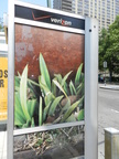 The artwork on this Manhattan phone booth advertises The High Line park.
