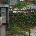 New York Telestone Communications Corp (NYTCC) Payphone, abandoned years ago, still littering this sidewalk in Flushing, Queens.