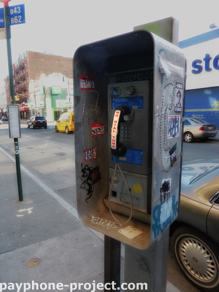782 Manhattan Avenue. Greenpoint, Brooklyn. (718) 383-9736.