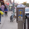 (718) 830-9314, (718) 520-9564. 96-22 Queens Blvd., outside Rego Park Dairy Farm.