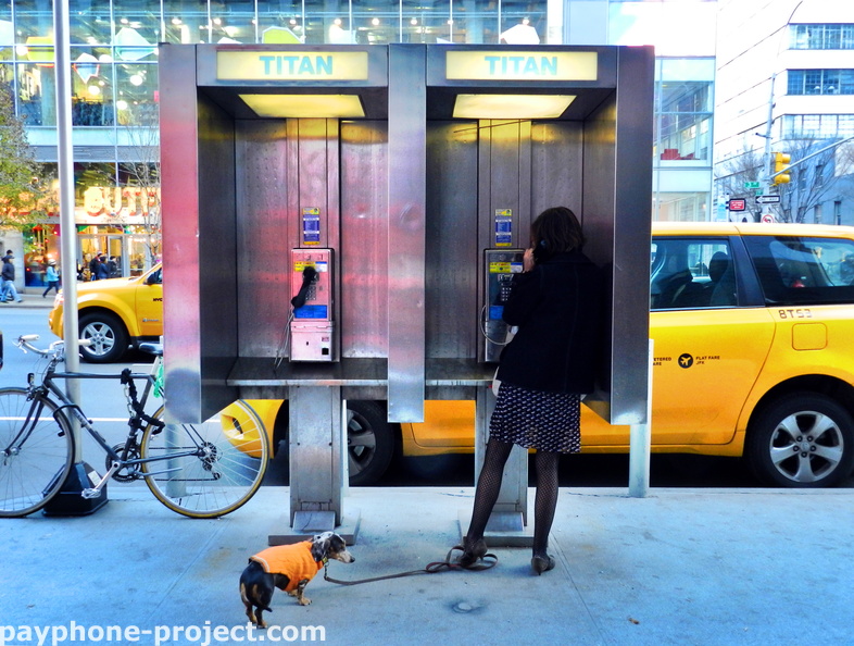 Well-dressed Upper East Side woman takes a break from walking her dog to make a payphone call.