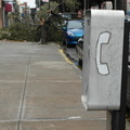 The Payphone Survived Sandy but a Once-Mighty Tree Did Not