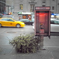 Payphone Mulching Season.