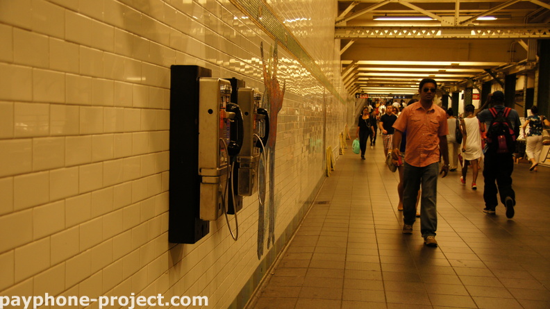 (212) 840-8046, (212) 840-8082. Payphones. Times Square Subway.