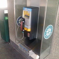 IMG_20130811_144739.jpg