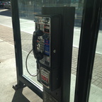 Bus Stop Albany NY