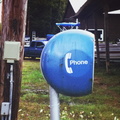 Birds Marine Raquette Lake NY Working Egg Shell Phone Booth 1