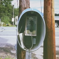 Birds Marine Raquette Lake NY Working Egg Shell Phone Booth 2