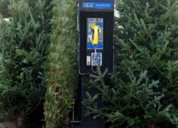 A Christmas Payphone
