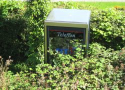 Phone Booth Terrarium in Wales
