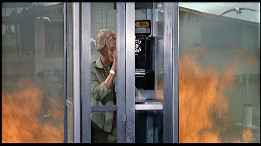 The Birds, Phone Booth Scene
