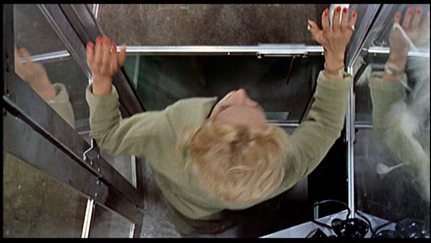 The Birds, Phone Booth Scene