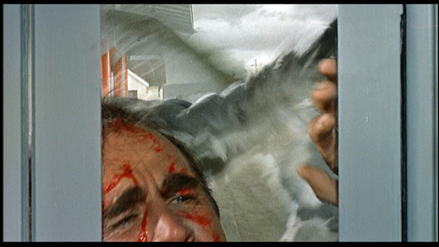 The Birds, Phone Booth Scene