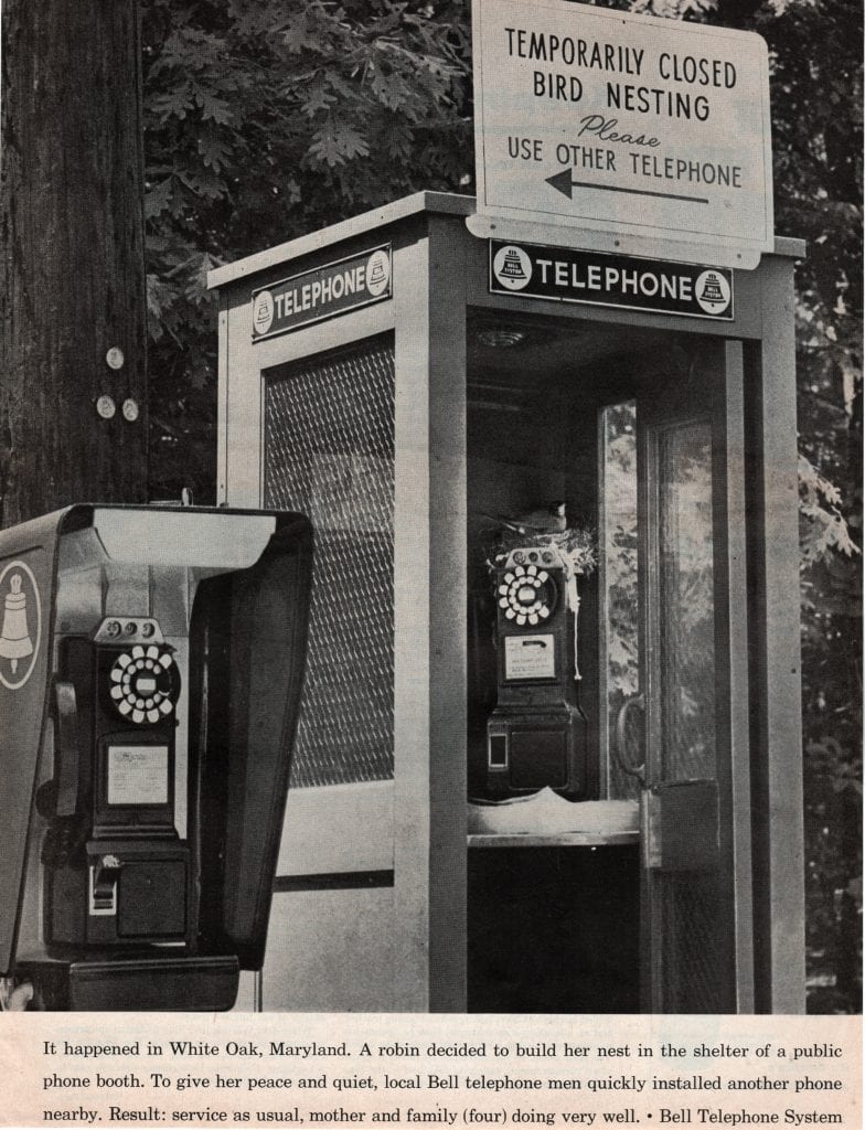 1961 Bell Telephone Advertisement