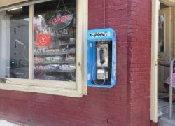 Yachris Market. Jamaica Plain, Massachusetts.