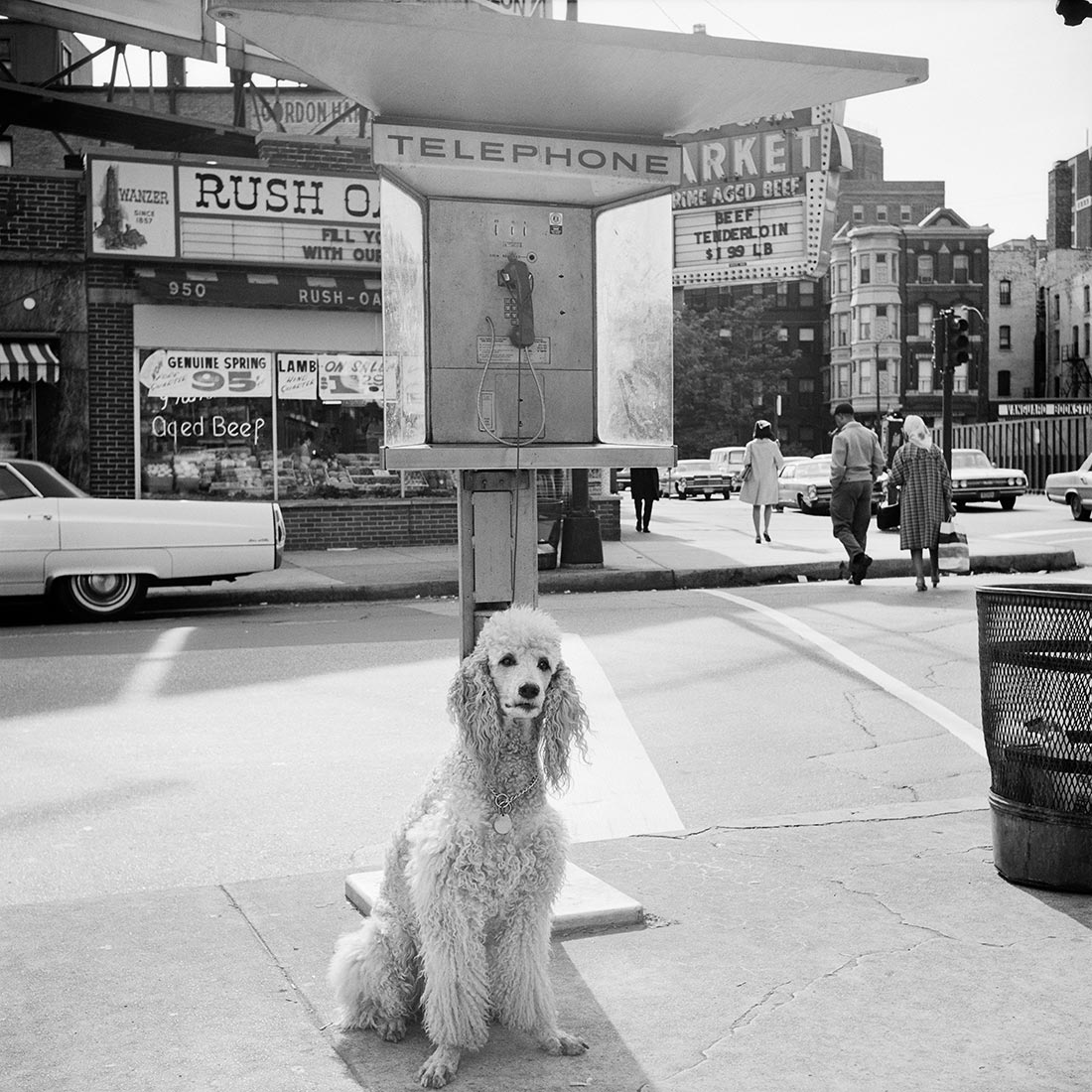 Chicago, 1960s. Photo by Vivian Maier.