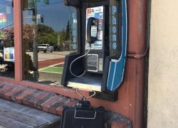 Ugly Mug Coffee Shop, Soquel, CA