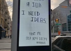 This Week’s LinkNYC Observations